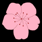 WWW,860se·COM网站APPAPP应用